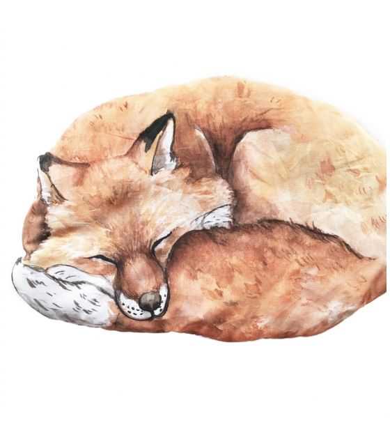 Mała poduszeczka - Fox
