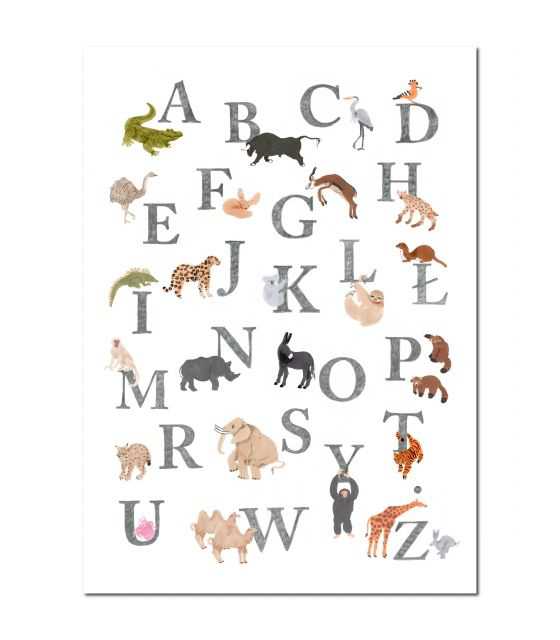Plakat z polskim alfabetem A2 (42X60 cm)