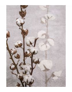 Dywan Bawełniany Cotton Bolls 120x170 cm Lorena Canals
