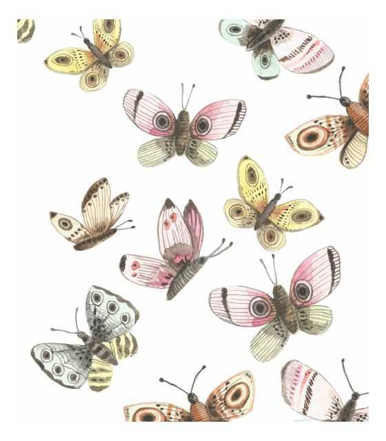 Naklejki Malowane Motylki