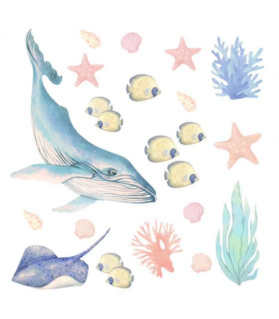 Morskie Zwierzęta I