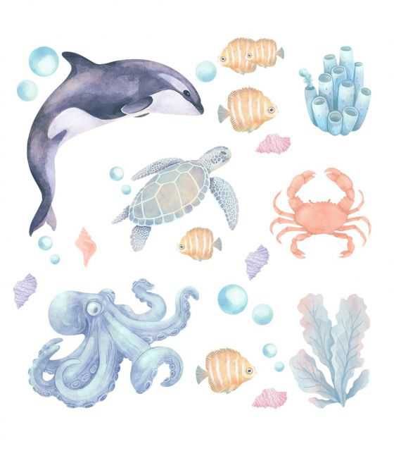 Morskie zwierzęta II