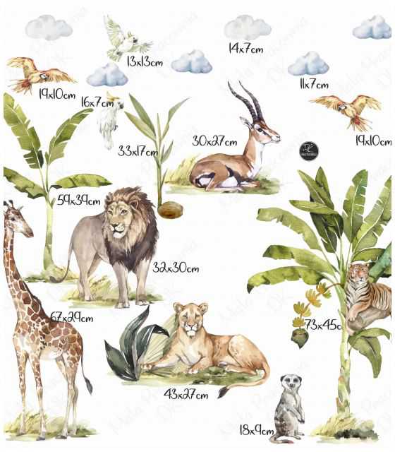  Jungle, sawanna, Afryka