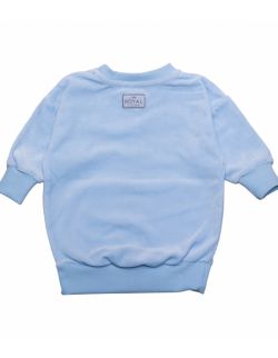 Welurowa bluza Royal Casual Baby Blue
