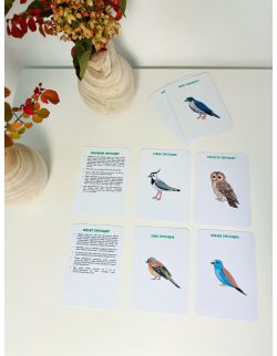 Drewniana gra memory – Ptaki Europy z kartami edukacyjnymi