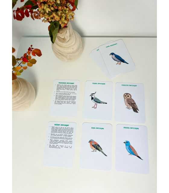 Drewniana gra memory – Ptaki Europy z kartami edukacyjnymi